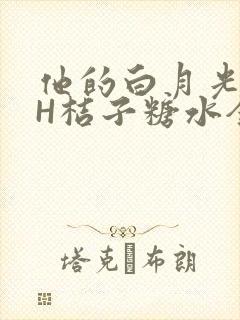 他的白月光HVH桔子糖水全文