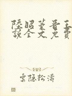 陆昭菱晋王的小说全文免费阅读