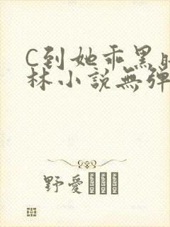 C到她乖黑暗森林小说无弹窗