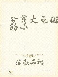 公翁大龟挺进我的小