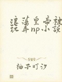 浪荡皇帝被多人玩弄np小说