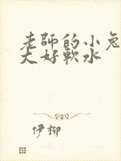 老师的小兔子好大好软水