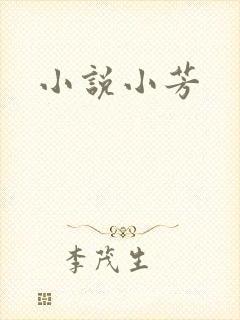 小说小芳