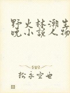 野火林潮生林晚晚小说人物野火