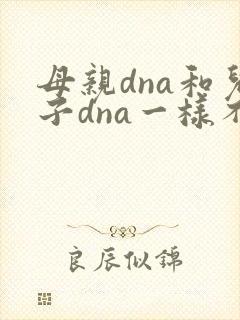 母亲dna和儿子dna一样不