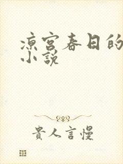 凉宫春日的忧郁小说