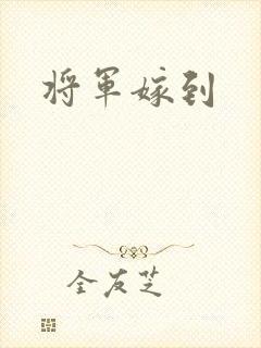 将军嫁到