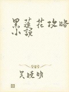黑莲花攻略手册小说