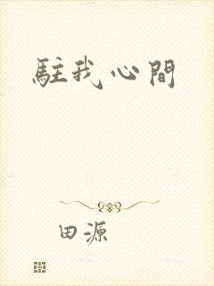 驻我心间