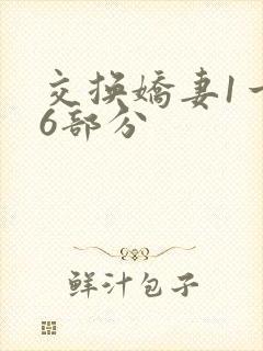 交换娇妻1一36部分