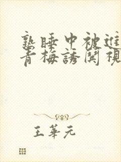 熟睡中被进了H青梅诱哄视频