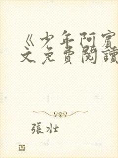 《少年阿宾》全文免费阅读