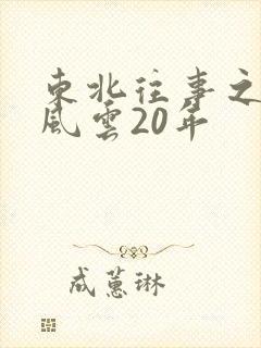 东北往事之黑道风云20年