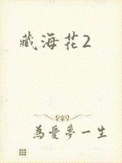 藏海花2