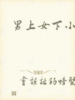 男上女下小说