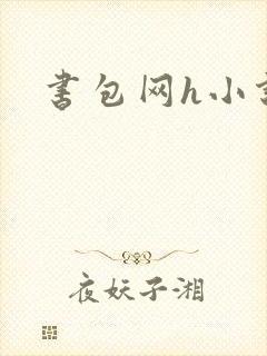 书包网h小说