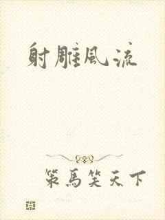 射雕风流