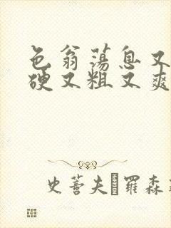 色翁荡息又大又硬又粗又爽