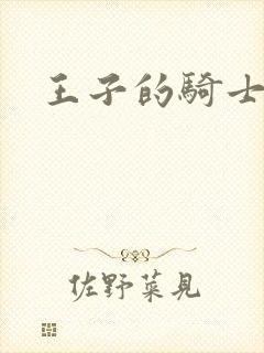 王子的骑士