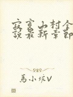 寂寞山村全部小说最新章节