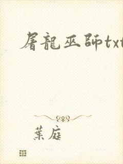 屠龙巫师txt