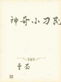 神奇小刁民