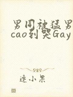 男同被猛男房东cao到哭Gay