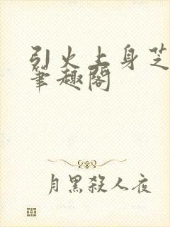 引火上身芝麻糖笔趣阁