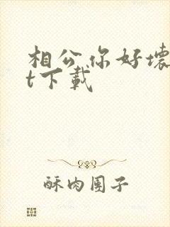 相公你好坏txt下载