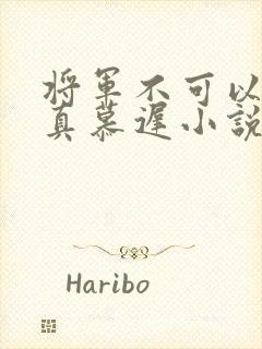 将军不可以魏云真慕迟小说笔趣阁