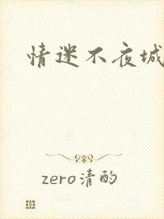 情迷不夜城