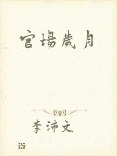 官场岁月