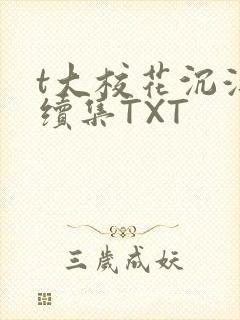t大校花沉浮录续集TXT