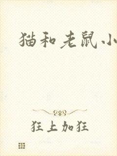 猫和老鼠小说