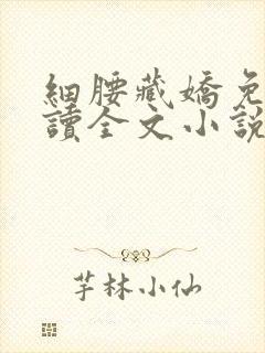 细腰藏娇免费阅读全文小说苏珞浅