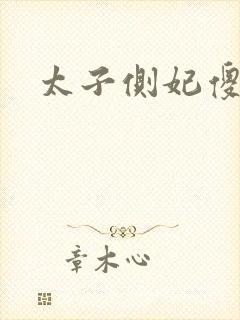 太子侧妃傻乎乎