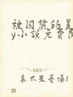 被囚禁的美人by小说免费阅读