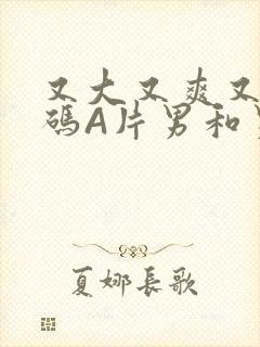 又大又爽又黄无码A片男和男