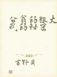 公翁的粗大放进我的秘密