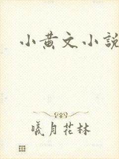 小黄文小说