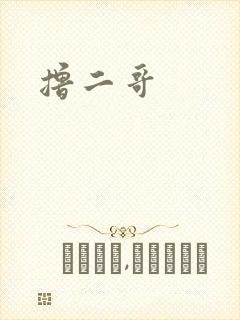 撸二哥