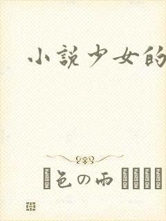 小说少女的心