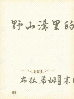 野山沟里的村庄