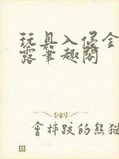 玩具入侵金银花露笔趣阁