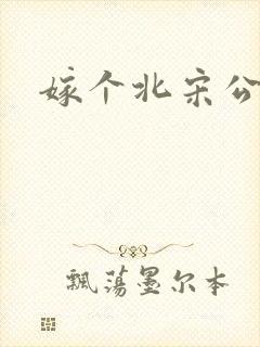 嫁个北宋公务员