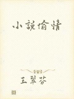 小说偷情