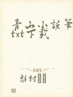青山小说笔趣阁txt下载