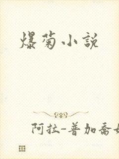 爆菊小说