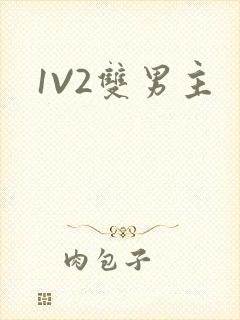 1V2双男主