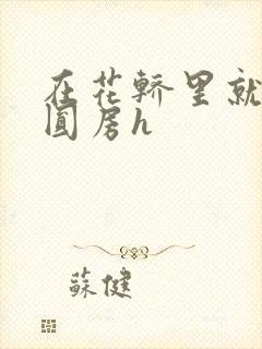 在花轿里就开始圆房h